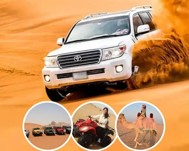 Dune Bashing And Camel Riding 